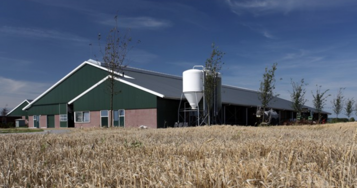 Dak- en wandbeplating bij MTS. Talsma te Brantgum