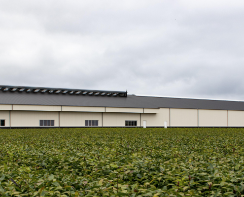 Dak- en wandbeplating bij Hulsebosch Bloembollen te Julianadorp