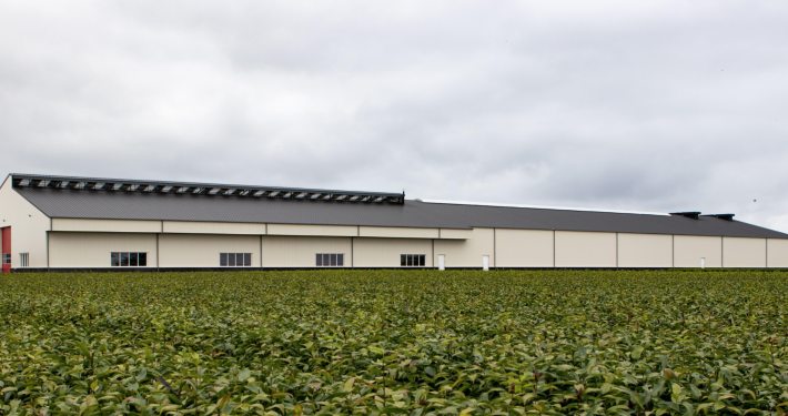 Dak- en wandbeplating bij Hulsebosch Bloembollen te Julianadorp