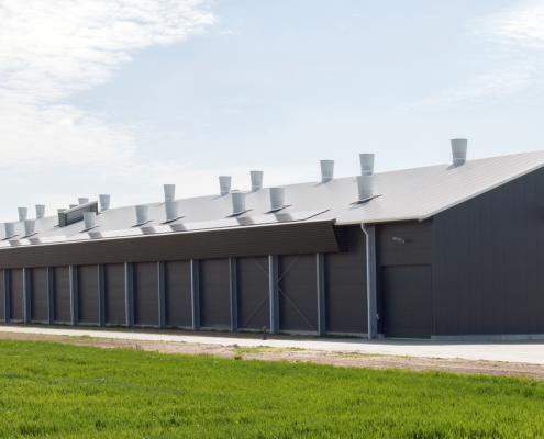 Dak- en wandbeplating bij pluimveebedrijf Meerkip te Middenbeemster