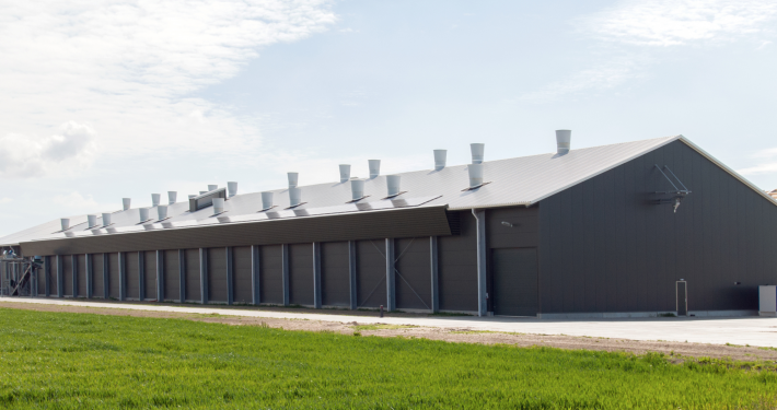 Dak- en wandbeplating bij pluimveebedrijf Meerkip te Middenbeemster