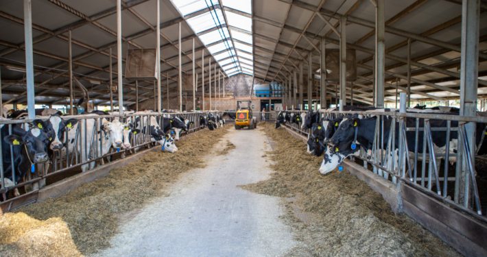 Dakrenovatie bij MTS. Van Beest te Hoogblokland