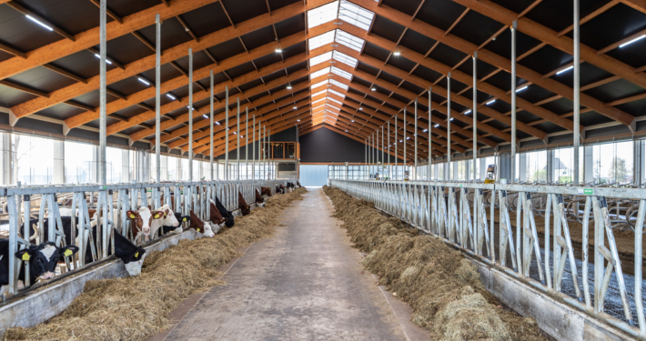 Dak- en gevelbeplating bij Fam. Schilder te Spierdijk