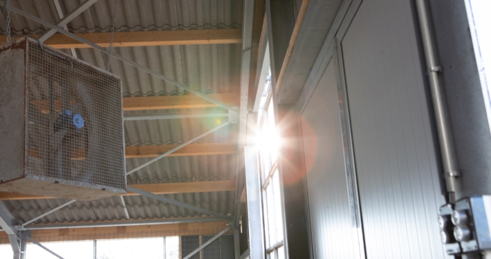 Nieuwbouw stal Broek in Waterland