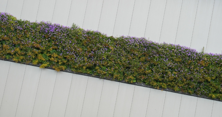 Nieuwbouw STP te Hoofddorp