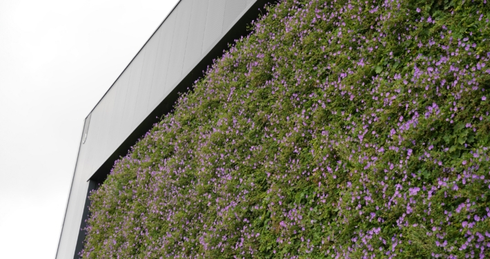 Nieuwbouw Cavalier te Hoofddorp