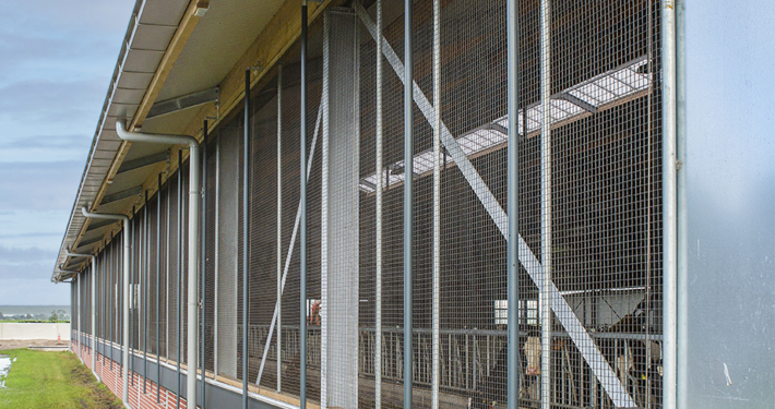 Nieuwbouw ligboxstal te Staphorst