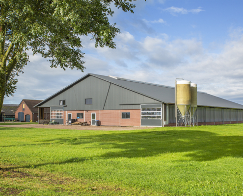 Nieuwbouw ligboxstal te Staphorst