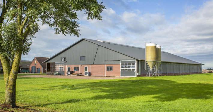 Nieuwbouw ligboxstal te Staphorst