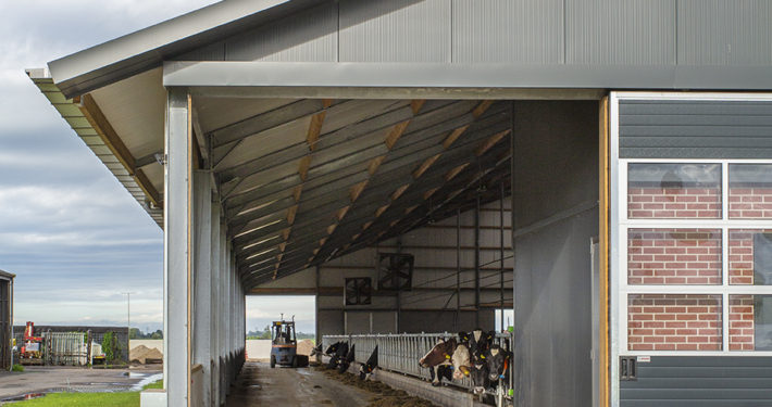 Nieuwbouw ligboxstal te Staphorst
