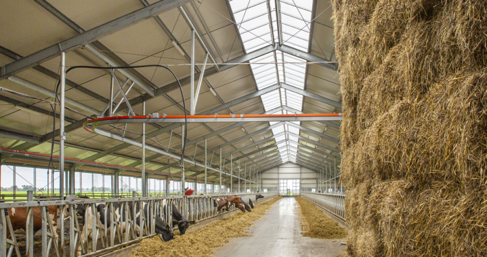 Nieuwbouw & renovatie Haskerweide te Vegelinsoord