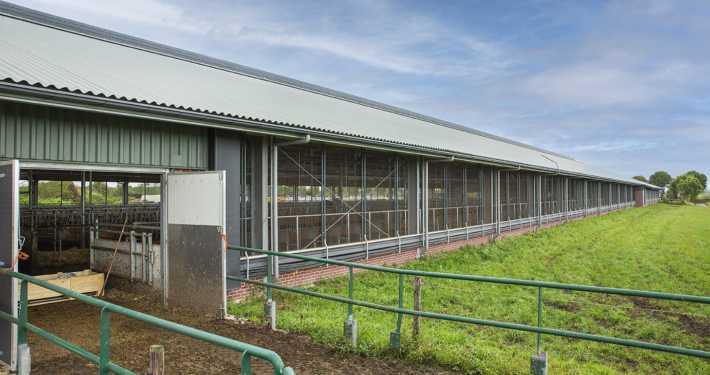 Nieuwbouw & renovatie Haskerweide te Vegelinsoord