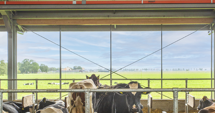 Nieuwbouw & renovatie Haskerweide te Vegelinsoord