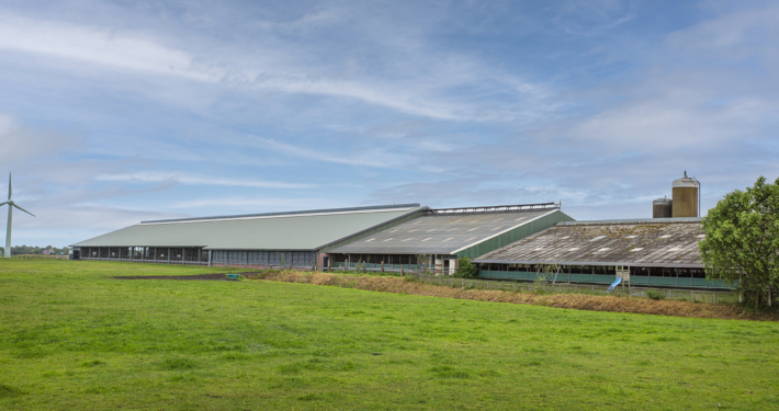 Nieuwbouw & renovatie Haskerweide te Vegelinsoord