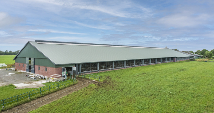 Nieuwbouw & renovatie Haskerweide te Vegelinsoord