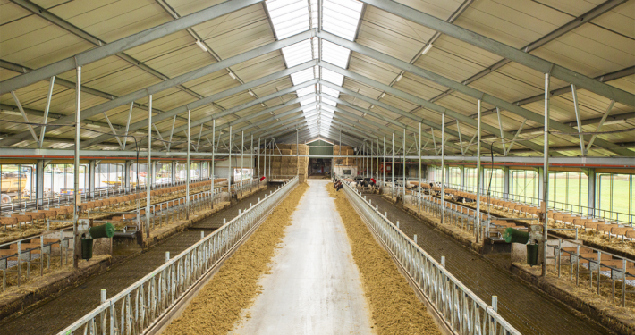 Nieuwbouw & renovatie Haskerweide te Vegelinsoord