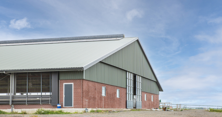 Nieuwbouw & renovatie Haskerweide te Vegelinsoord