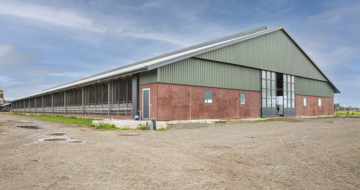 Nieuwbouw & renovatie Haskerweide te Vegelinsoord